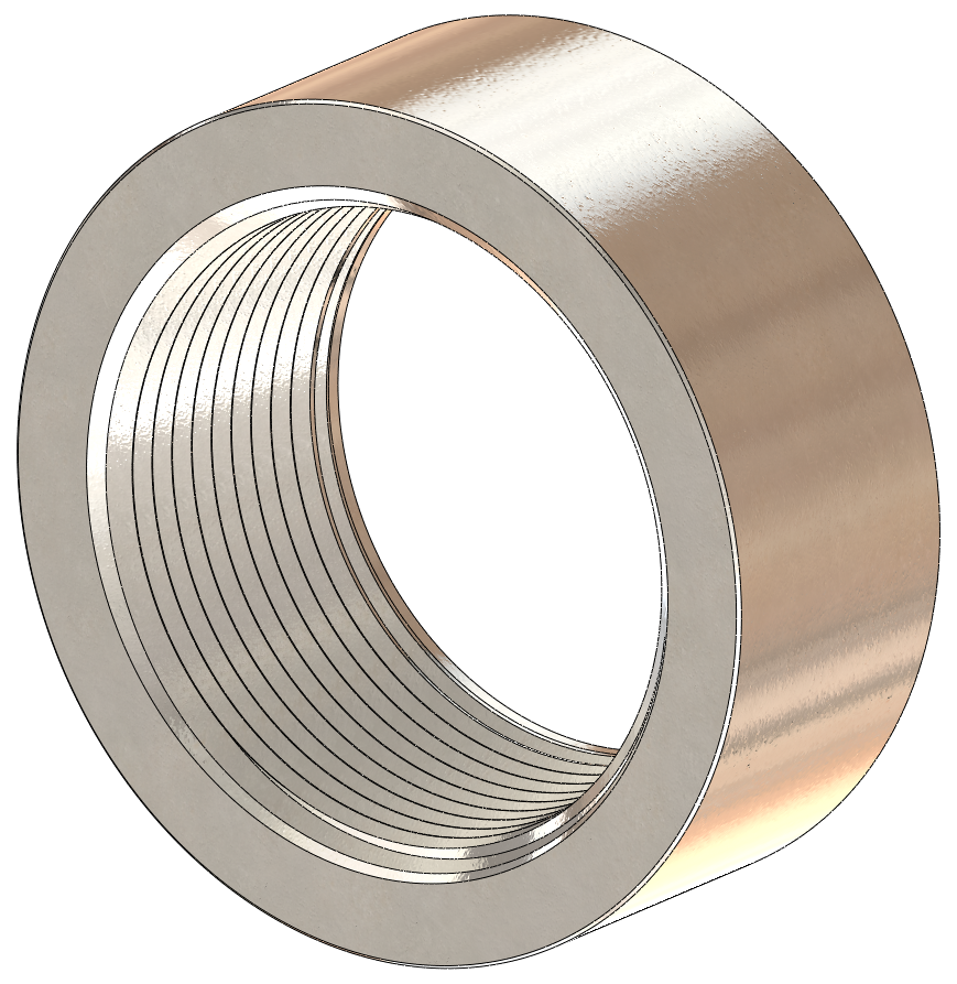 NPT Weld-On Bung, 316 Stainless Steel